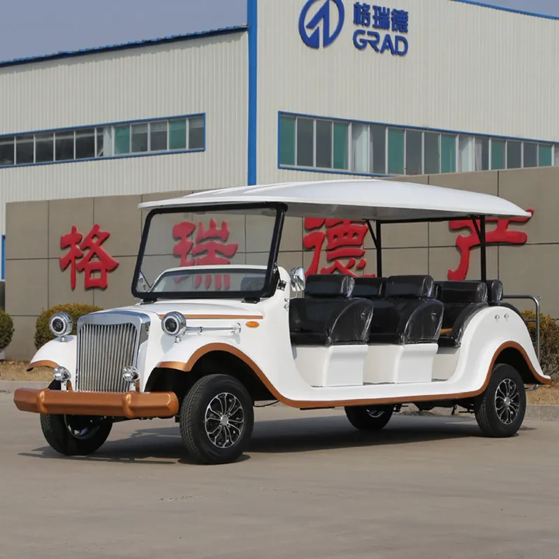 Hyundai Electric Classic Car Hyundai Electric Classic Car