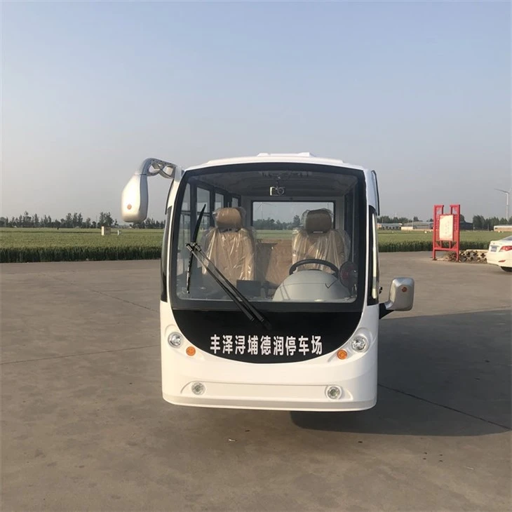Sightseeing Electric Car
