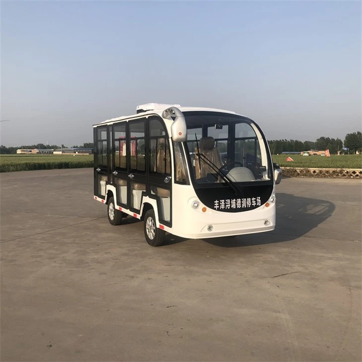 Sightseeing Electric Car